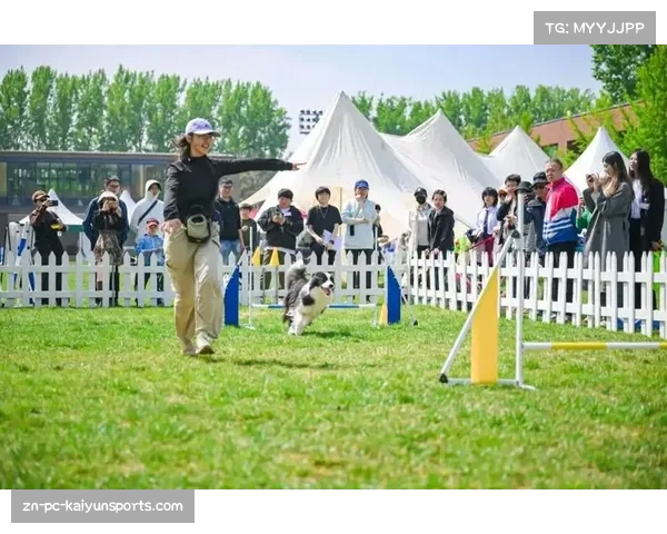 2026国际马术创意之春在北京开幕,设9个竞技高度吸引顶尖骑手